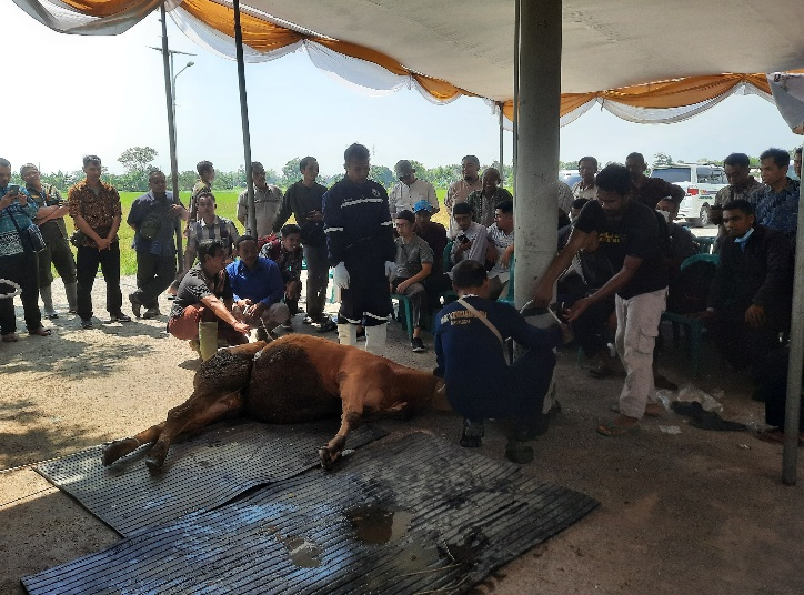 Jelang Idul Adha Takmir Masjid di Tuban Dapat Pelatihan JULEHA