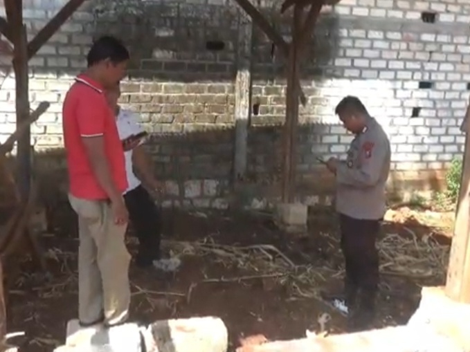 Warga Resah, Pencurian Sapi Marak Terjadi di Palang Tuban